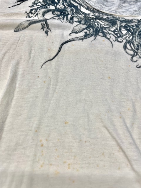 白いTシャツの全体カビシミがキレイに落ちた染み抜きクリーニング事例（４，９５０円（税込み）2025.08.20